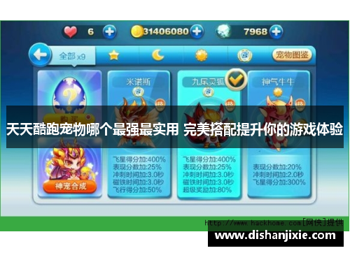 天天酷跑宠物哪个最强最实用 完美搭配提升你的游戏体验