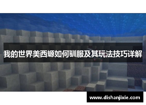 我的世界美西螈如何驯服及其玩法技巧详解 我的世界美西螈如何驯服及其玩法技巧详解